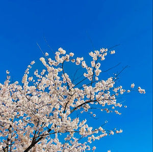 Meet your Posher, Nuzhat